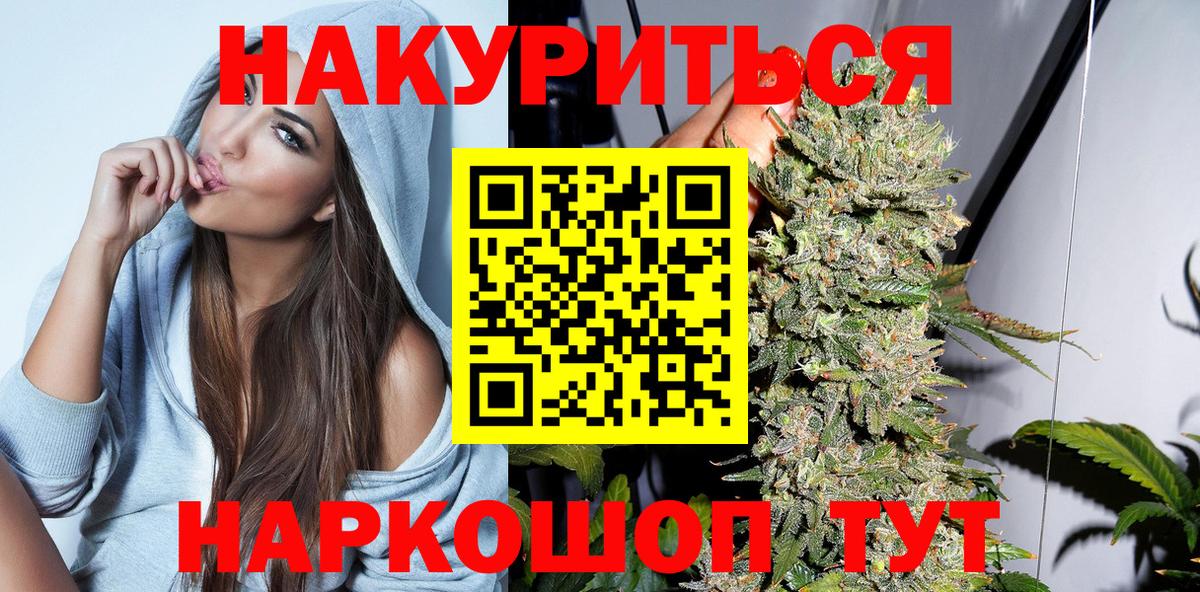Конопля сатива Сальск
